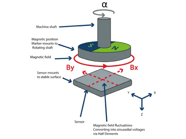 rotary hall effect sensor
